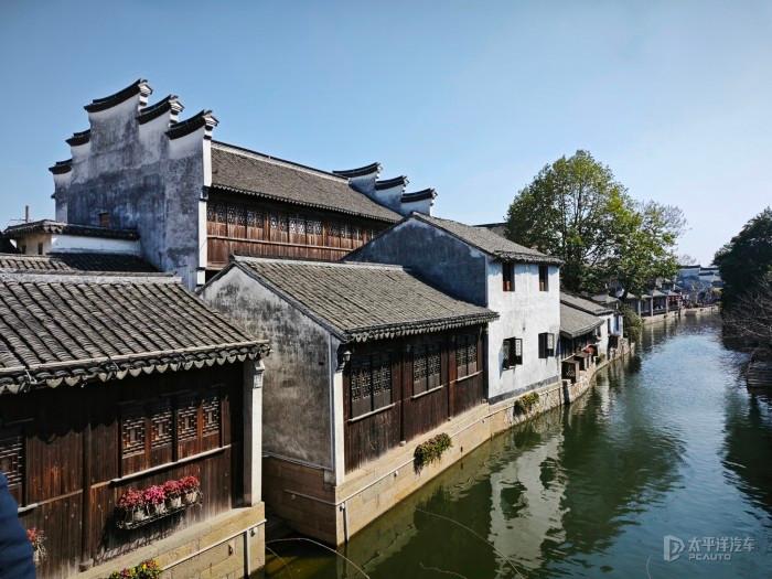 白孔雀救援